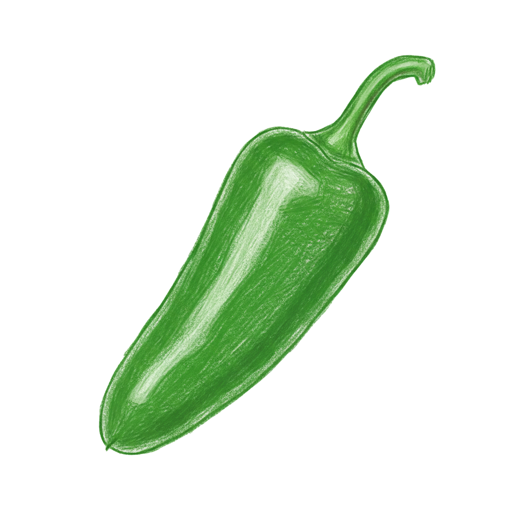piment jalapeno vert