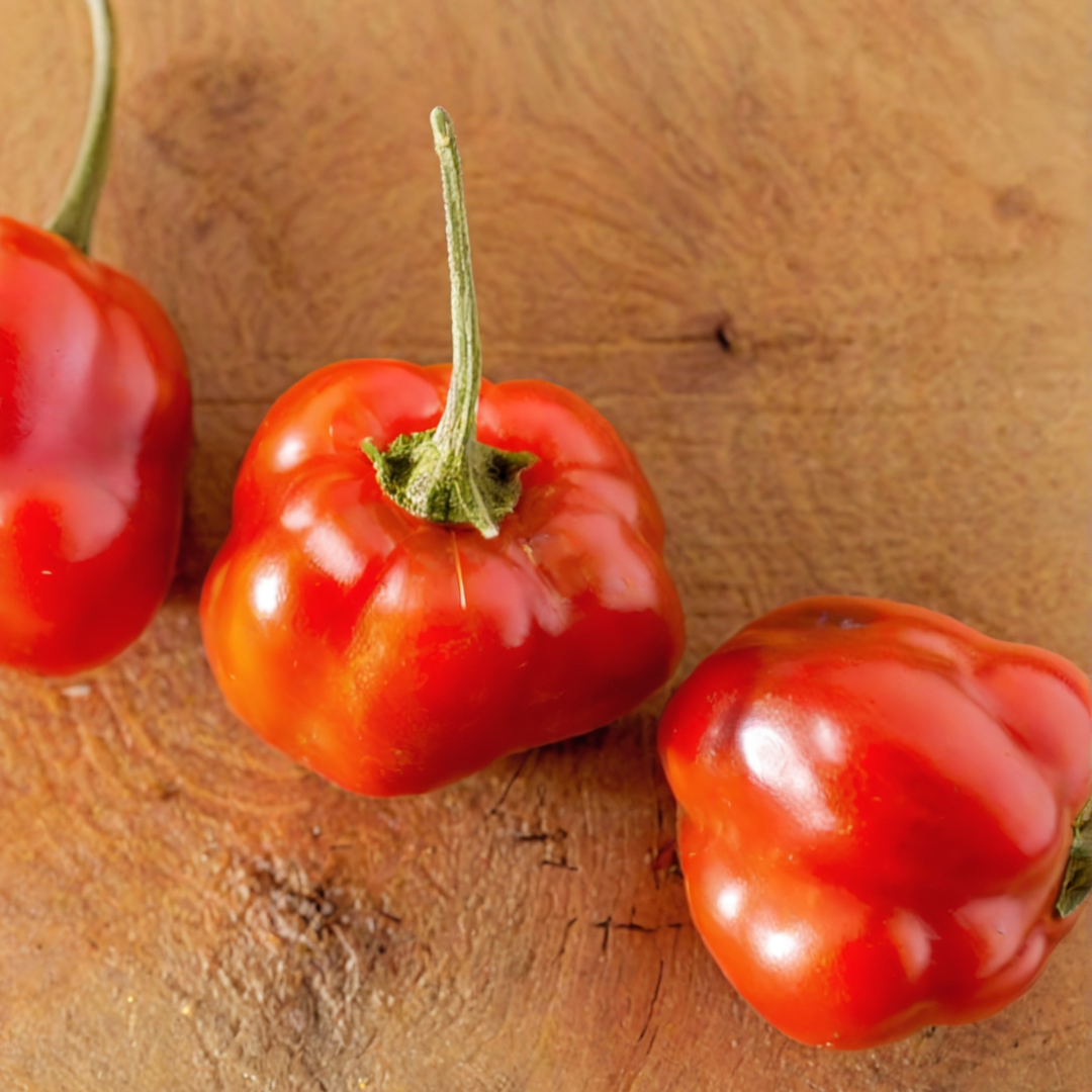 Piment Peppadew