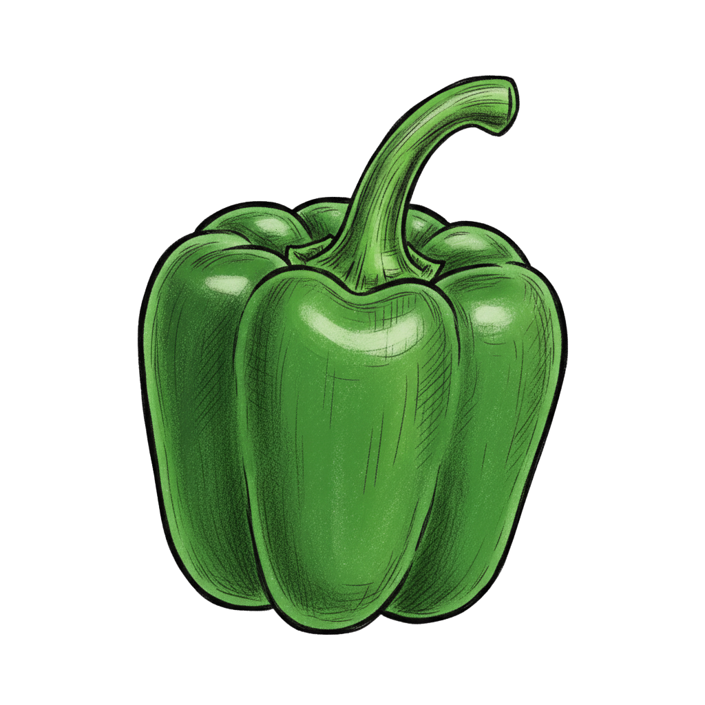 poivron dessin