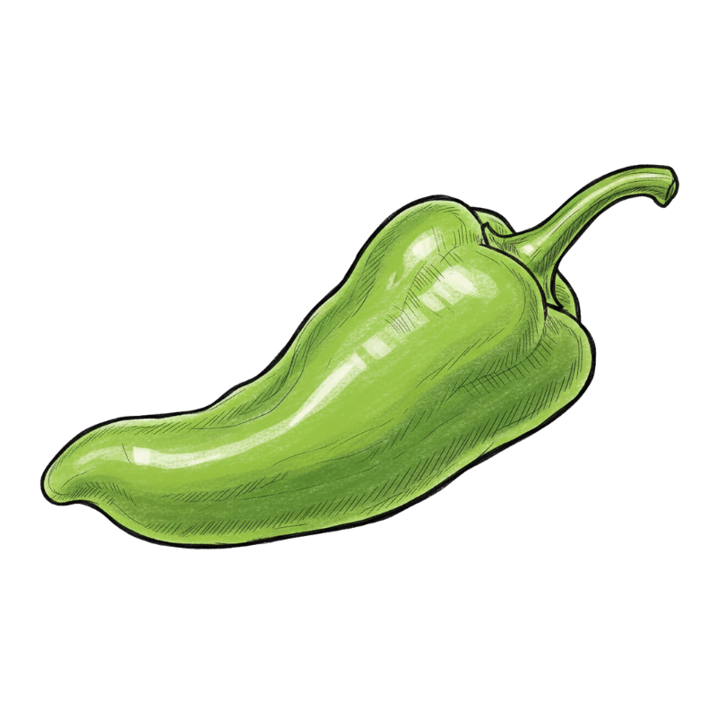Piment Cubanelle dessin