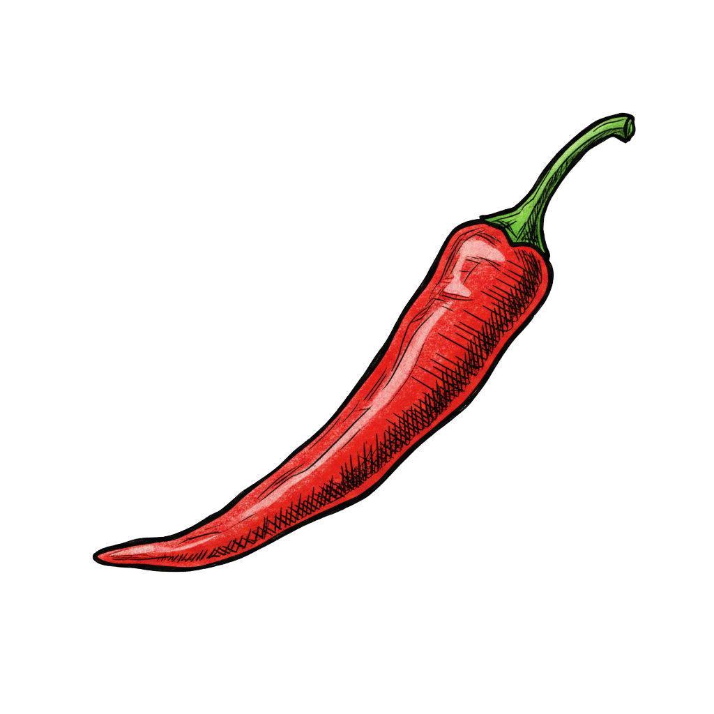 Piment de Cayenne - dessin