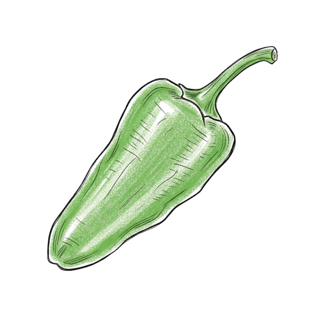piment padron dessin