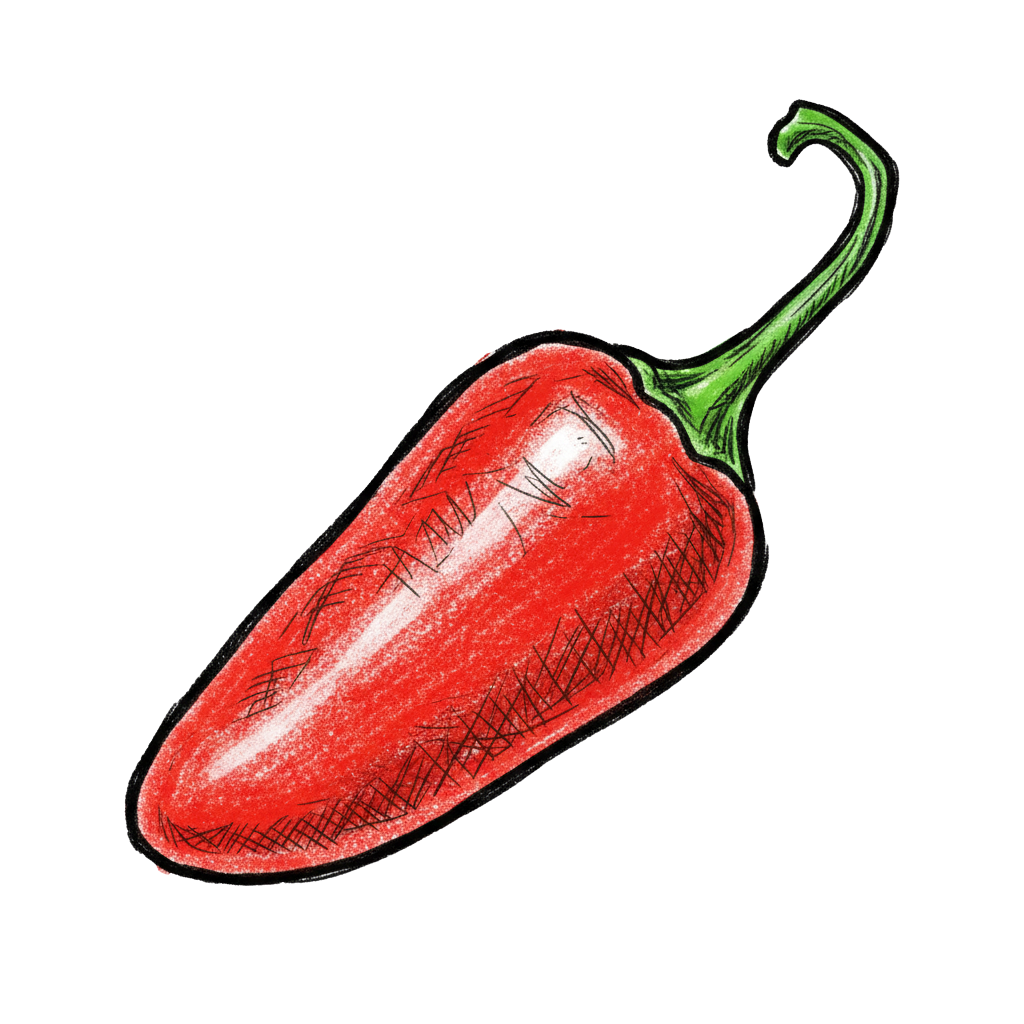 piment pequin dessin