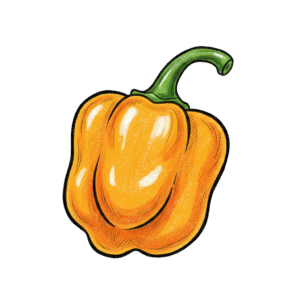 Scotch Bonnet