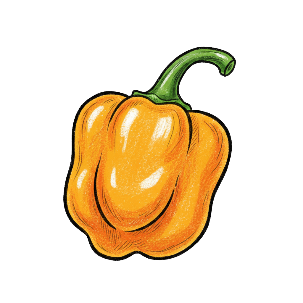 piment scotch bonnet dessin