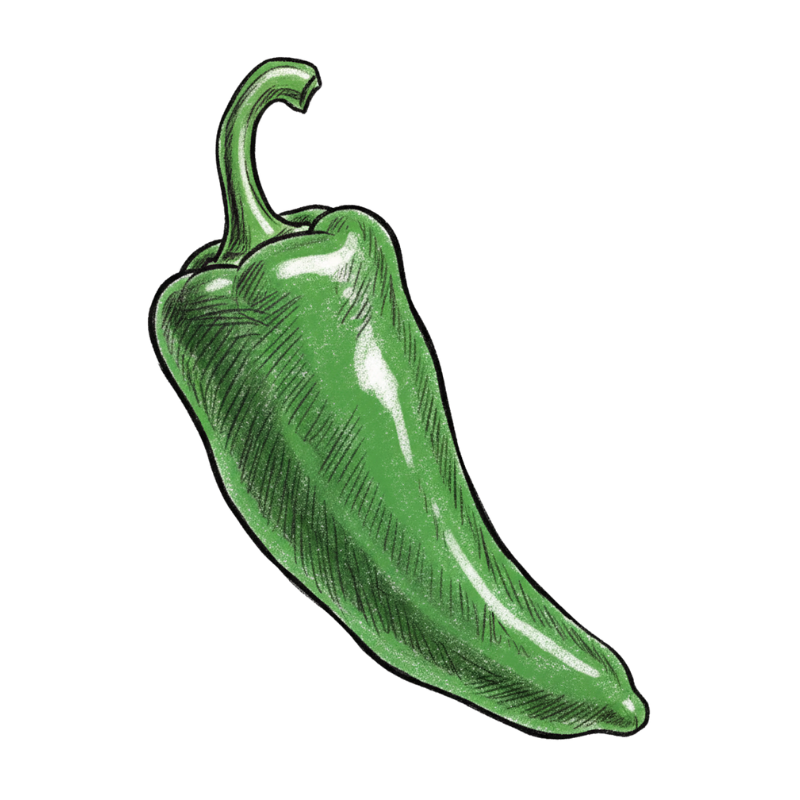 Piment Anaheim dessin