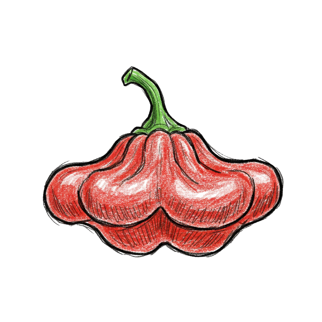 piment Bonnet d'Évêque dessin