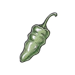 Piment Shishito