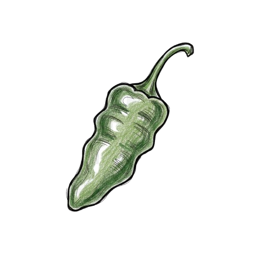 piment shishito dessin couleur