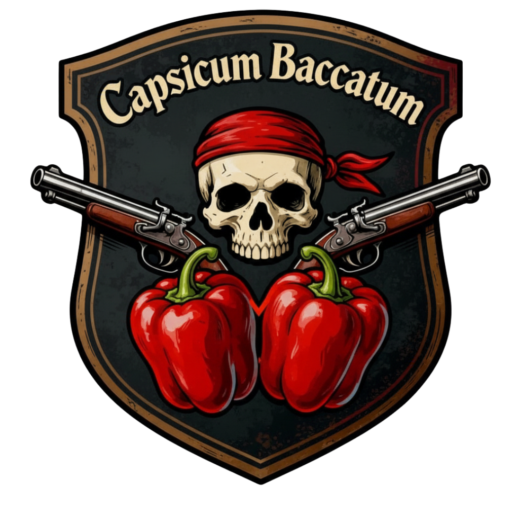 Baccatum
